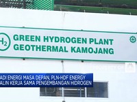 Video: PLN Gandeng HDF Energy Kembangkan Hidrogen