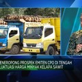 Video: Adu Siasat Produsen Sawit Hadapi Perubahan Harga Hingga Cuaca