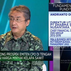 Video:Cara Emiten CPO Genjot Laba di Tengah Fluktuasi Harga Komoditas