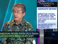 Video:Cara Emiten CPO Genjot Laba di Tengah Fluktuasi Harga Komoditas