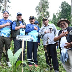 Hijaukan Desa Besakih, Pertamina Tanam 200 Pohon di Kaki Gunung Agung
