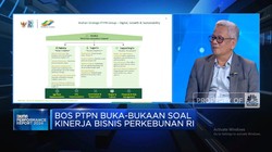 Video: Bos PTPN Bongkar Jurus Bikin Bisnis BUMN Perkebunan Untung