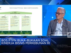 Video: Bos PTPN Bongkar Jurus Bikin Bisnis BUMN Perkebunan Untung
