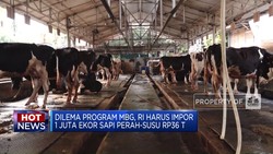 Video: Dilema Program Makan Bergizi Gratis Hingga Perang Rusia-Ukraina