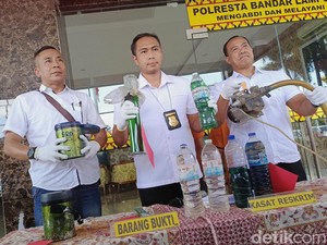 Polisi Bongkar Bisnis Pemalsuan BBM di Bandar Lampung