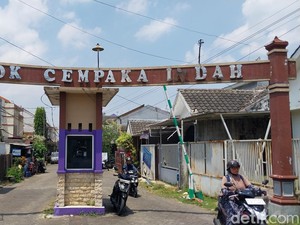 12 Kucing yang Mati Massal di Sukun Kota Malang Diduga Diracun