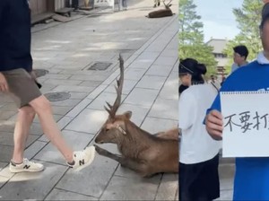 Turis China Injak Kaki Rusa Taman Nara, Petugas Langsung Ngamuk