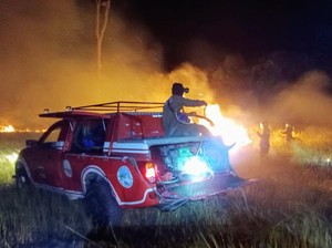 Diguyur Hujan 2 Hari, Kebakaran Kawasan TN Way Kambas Lampung Padam