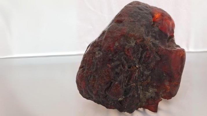 Bongkahan amber seberat 3,5 kilogram itu merupakan potongan rumanit terbesar yang pernah ditemukan. (Dok. Buzău County Museum)