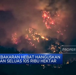 Video: 3 Kebakaran Hebat Hanguskan Lahan Seluas 105 Ribu Hektar di AS