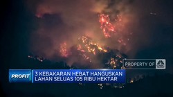 Video: 3 Kebakaran Hebat Hanguskan Lahan Seluas 105 Ribu Hektar di AS