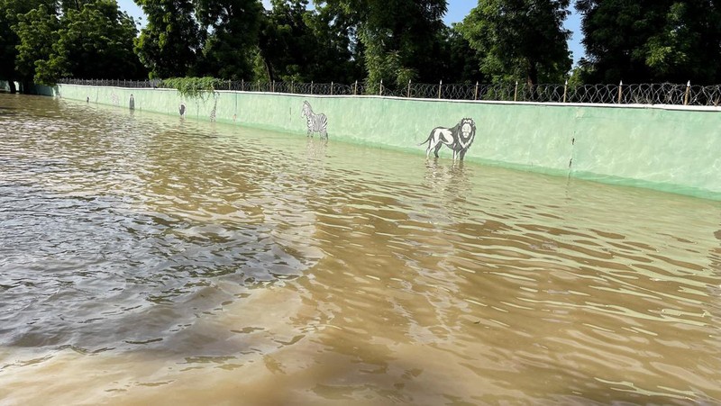 Banjir besar di Kota Maiduguri, timur laut Nigeria, menewaskan setidaknya 30 orang. Selain itu, 400 ribu warga lainnya terpaksa mengungsi. (Tangkapan Layar Video Reuters/)