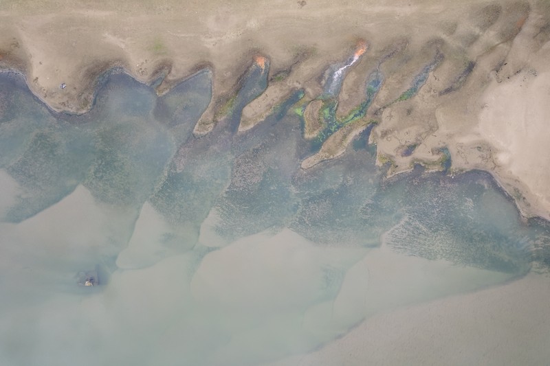 Kondisi dasar sungai Tisza yang sebagian kering di dekat Nagykoru, Hongaria, Rabu (11/9/2024). (REUTERS/Marton Monus) Kondisi dasar sungai Tisza yang sebagian kering di dekat Nagykoru, Hongaria, Rabu (11/9/2024). (REUTERS/Marton Monus)