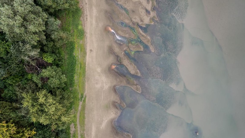 Kondisi dasar sungai Tisza yang sebagian kering di dekat Nagykoru, Hongaria, Rabu (11/9/2024). (REUTERS/Marton Monus)