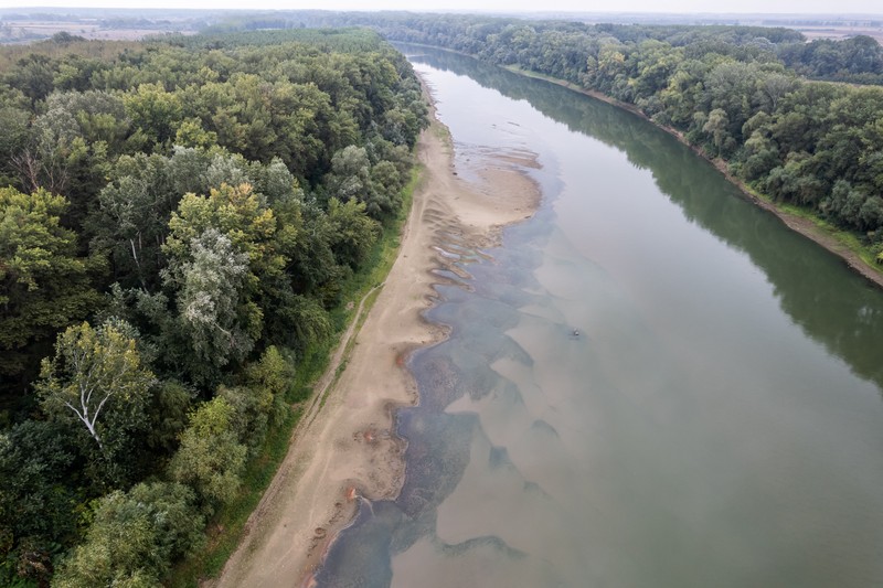 Kondisi dasar sungai Tisza yang sebagian kering di dekat Nagykoru, Hongaria, Rabu (11/9/2024). (REUTERS/Marton Monus) Kondisi dasar sungai Tisza yang sebagian kering di dekat Nagykoru, Hongaria, Rabu (11/9/2024). (REUTERS/Marton Monus)