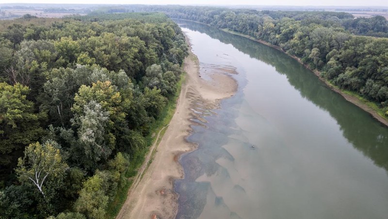 Kondisi dasar sungai Tisza yang sebagian kering di dekat Nagykoru, Hongaria, Rabu (11/9/2024). (REUTERS/Marton Monus)