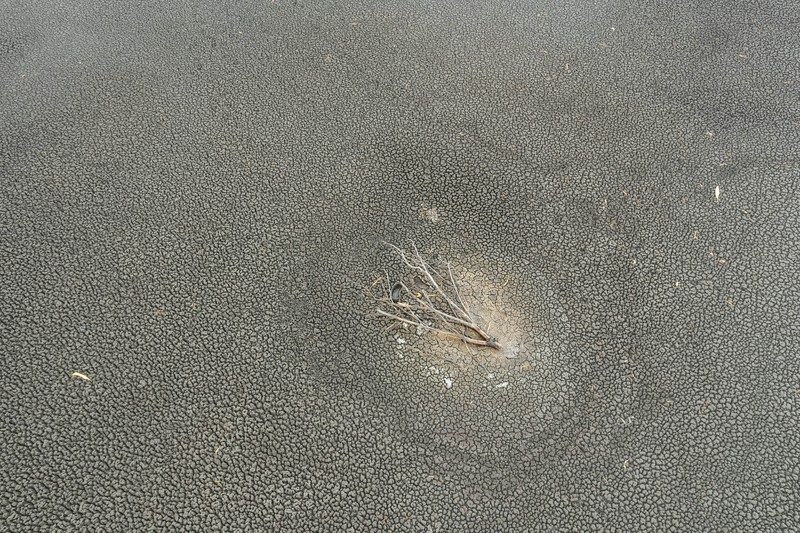 Kondisi dasar sungai Tisza yang sebagian kering di dekat Nagykoru, Hongaria, Rabu (11/9/2024). (REUTERS/Marton Monus)