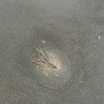 'Kiamat' Baru Hantam Eropa, Terlihat Jelas di Sungai