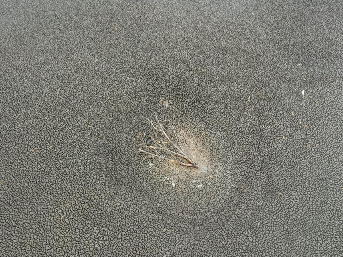 Peringatan PBB: Pemanasan Global Ancaman Serius Bagi Asia dan Indonesia