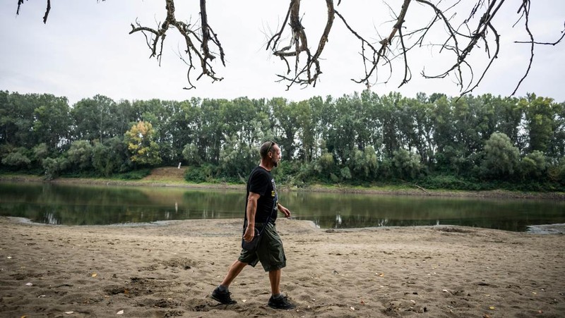 Kondisi dasar sungai Tisza yang sebagian kering di dekat Nagykoru, Hongaria, Rabu (11/9/2024). (REUTERS/Marton Monus)