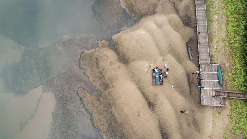 Kondisi dasar sungai Tisza yang sebagian kering di dekat Nagykoru, Hongaria, Rabu (11/9/2024). (REUTERS/Marton Monus)