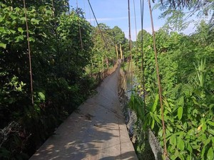 Jembatan Gantung di Luwu Utara Putus, 6 Pemotor Jatuh ke Sungai