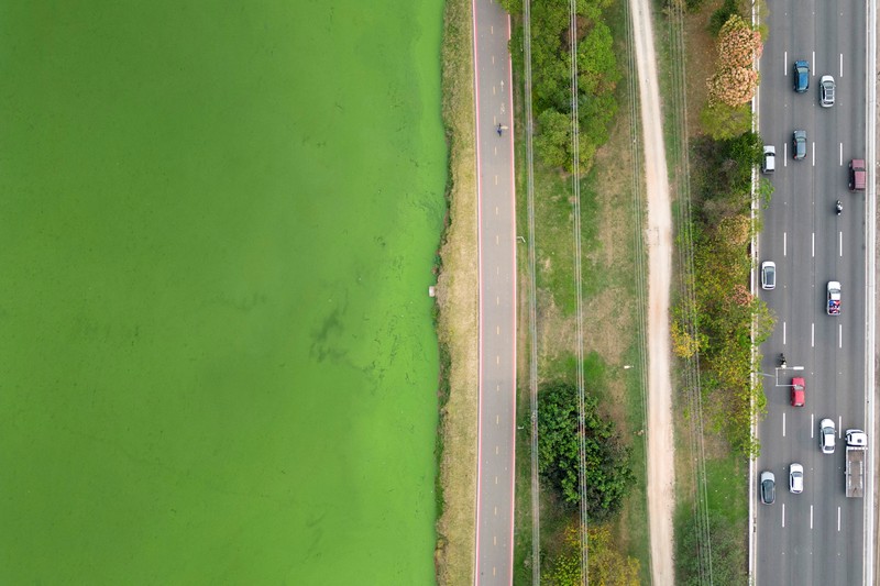 Pemandangan drone menunjukkan perkembangbiakan alga yang mengubah Sungai Pinheiros menjadi hijau setelah cuaca kering dan kurangnya hujan mengurangi kontribusi anak sungai, meningkatkan konsentrasi nutrisi dan mendukung pertumbuhan alga, di Sao Paulo, Brasil 10 September 2024. Pemandangan drone menunjukkan perkembangbiakan alga yang mengubah Sungai Pinheiros menjadi hijau setelah cuaca kering dan kurangnya hujan mengurangi kontribusi anak sungai, meningkatkan konsentrasi nutrisi dan mendukung pertumbuhan alga, di Sao Paulo, Brasil 10 September 2024. (REUTERS/Jorge Silva)