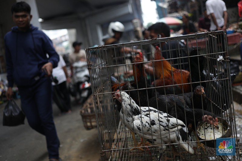 Suasana aktivitas para pedagang di kawasan kolong jembatan Pasar Kebayoran lama, Jakarta, Kamis (12/9/2024). (CNBC Indonesia/Tri Susilo)