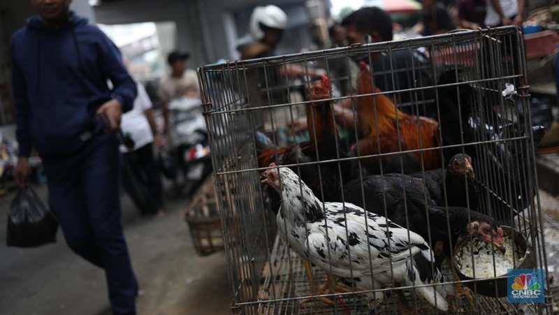 Suasana aktivitas para pedagang di kawasan kolong jembatan Pasar Kebayoran lama, Jakarta, Kamis (12/9/2024). (CNBC Indonesia/Tri Susilo)