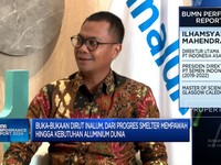 Video: Dirut Inalum Ungkap Progres Smelter Mempawah & Bisnis Aluminium
