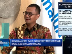 Video: Dirut Inalum Ungkap Progres Smelter Mempawah & Bisnis Aluminium