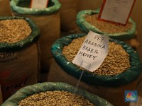 Wangi Kopi RI Semerbak di Filipina-AS, Ekspornya Tembus US$ 1,49 M