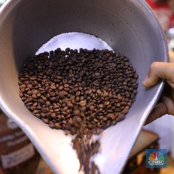 Harga Kopi Dunia Ugal-ugalan: Imbas Kiamat Alam Apa Upah Spekulan?