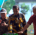 Jokowi Beri Bocoran Proyek Tol IKN Rampung 2025