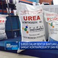 Video: Wacana Subsidi Pupuk Diganti BLT Ditolak dari Petani & DPR