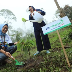 Simak! Begini Cara BRI Dorong Net Zero Emission di 2050