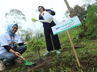Simak! Begini Cara BRI Dorong Net Zero Emission di 2050