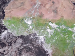 Gurun Sahara Menghijau, Sampai Terlihat dari Luar Angkasa