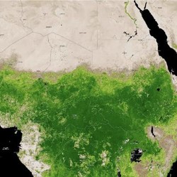 Gurun Sahara Banjir, Danau Kering 50 Tahun Terisi