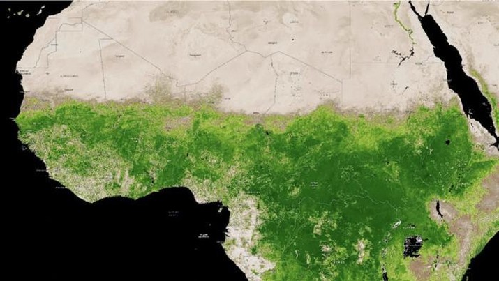 Kondisi Gurun Sahara saat ini membuat para ilmuan merasa cemas. Pasalnya Gurun Sahara yang terkenal tandus, baru-baru ini usai diguyur hujan deras, warnanya nampak menghijau dari luar angkasa. (NASA)