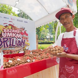 BRI Bikin Klaster Kelengkeng di Tuban Makin Bersinar Lewat Ini