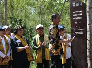 IKN Bakal Punya Hutan Pendidikan dan Riset, Almamater Jokowi Jadi Pengelola