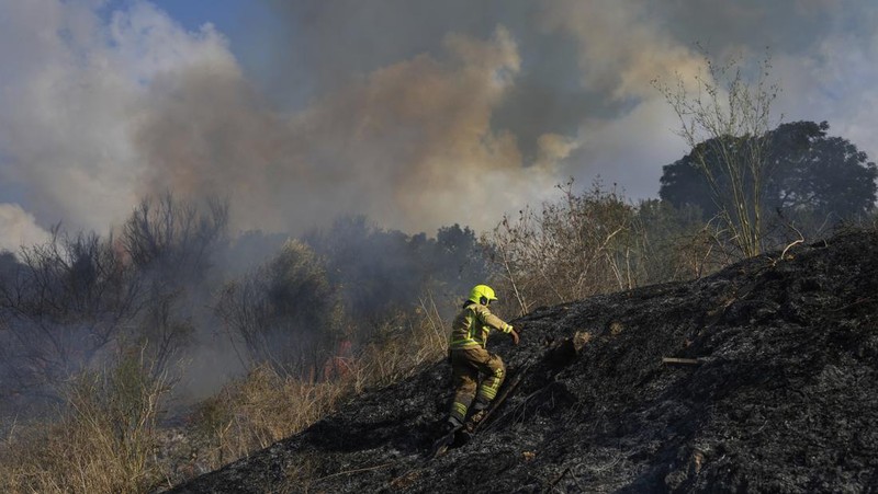 Seorang polisi memeriksa area kebakaran setelah militer menembakkan pencegat ke rudal dari Yaman yang jatuh di Israel tengah pada 15 September 2024. (REUTERS/Ronen Zvulun)