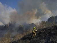 Awas Perang Arab Meluas, Houthi Yaman Bombardir Israel