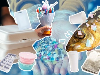 5 Benda Ini Bikin Warga RI Juara 1 Telan Mikroplastik