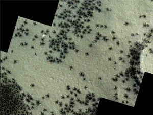 Foto Viral Mirip Laba-laba Raksasa di Mars, Begini Penjelasannya