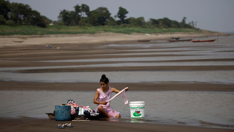 Permukaan air di sungai-sungai yang mengalir melalui hutan hujan Amazon yang luas telah menurun, setelah kekeringan yang memecahkan rekor diikuti oleh berkurangnya hujan. (REUTERS/Bruno Kelly)