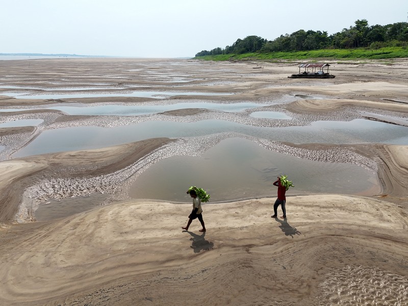 Permukaan air di sungai-sungai yang mengalir melalui hutan hujan Amazon yang luas telah menurun, setelah kekeringan yang memecahkan rekor diikuti oleh berkurangnya hujan. (REUTERS/Bruno Kelly) Permukaan air di sungai-sungai yang mengalir melalui hutan hujan Amazon yang luas telah menurun, setelah kekeringan yang memecahkan rekor diikuti oleh berkurangnya hujan. (REUTERS/Bruno Kelly)