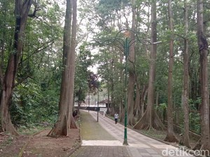 Butuh Suasana Baru? Cek 4 Rekomendasi Tempat Jogging Seru di Depok