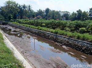 Selokan Mataram dan Van Der Wijck Bakal Ditutup, 1.345 Ha Lahan Terdampak